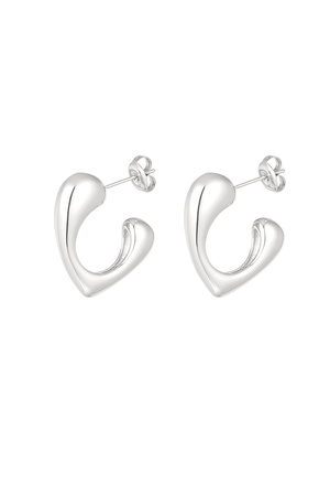 Chunky shaped earrings - silver h5 
