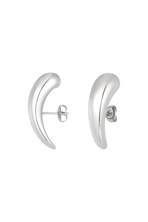Stripe earrings - silver h5 