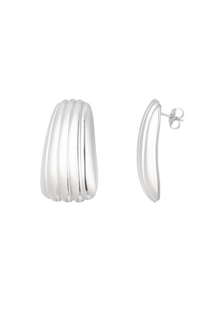 Simple stripe earrings - silver h5 