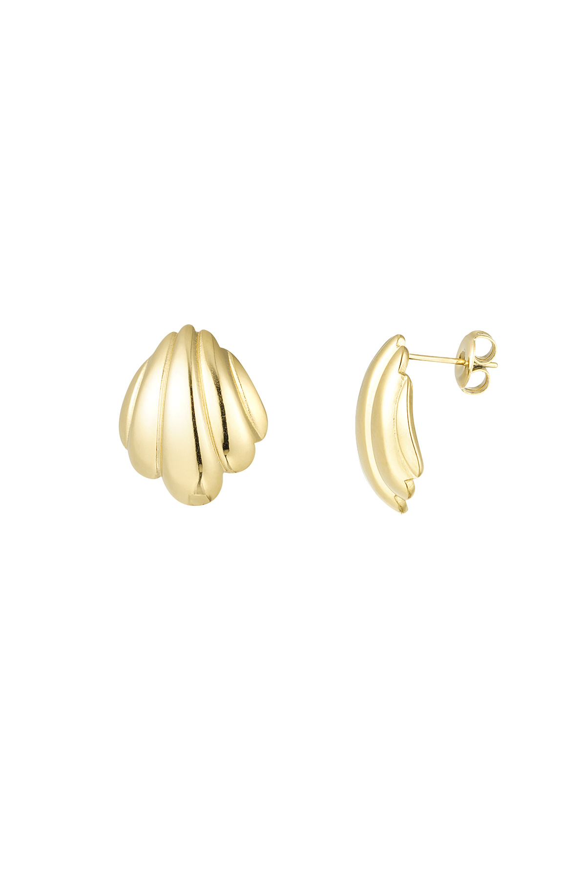 Shell earrings - gold