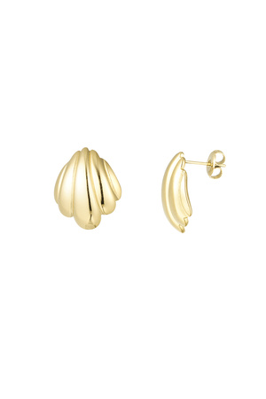 Shell earrings - gold h5 