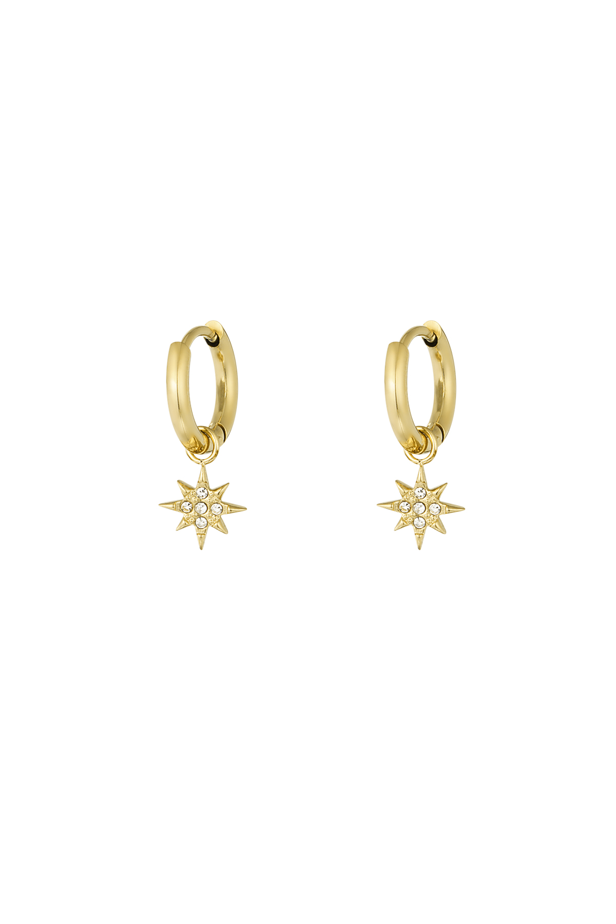 Earrings stardust - gold h5 