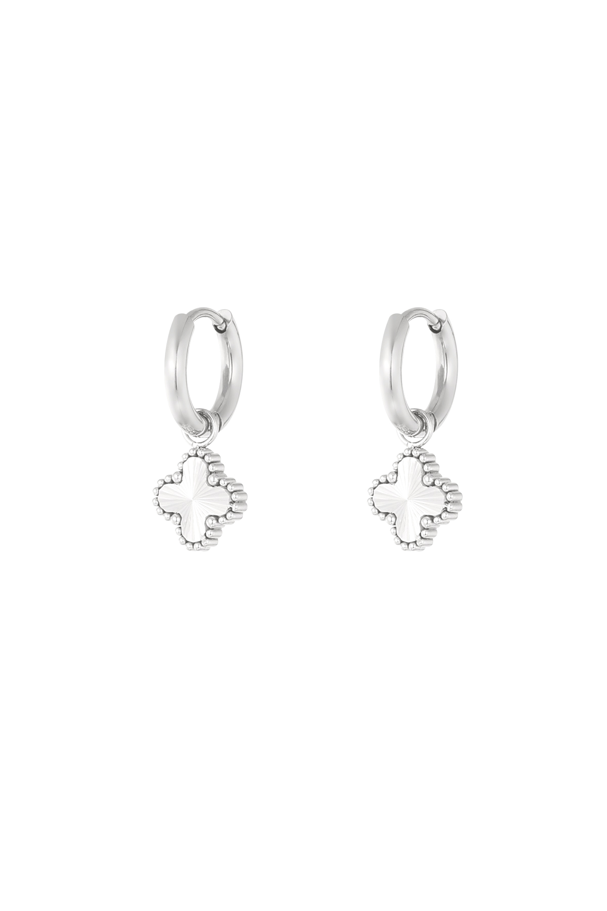 Earrings clover class - silver h5 