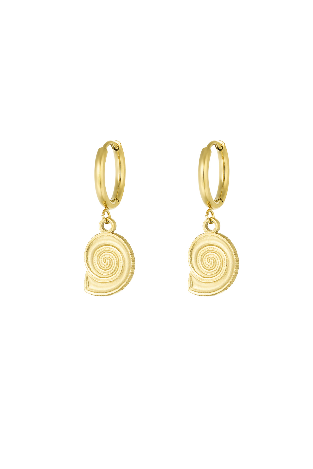 Earrings shell swirl - gold