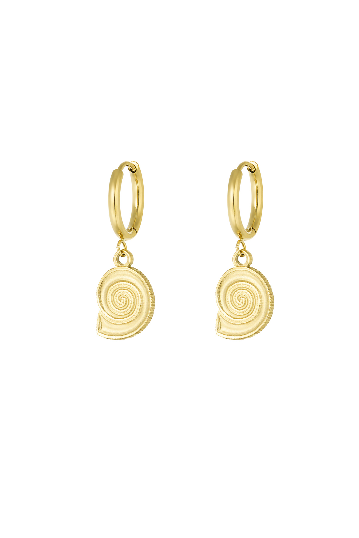 Earrings shell swirl - Gold color