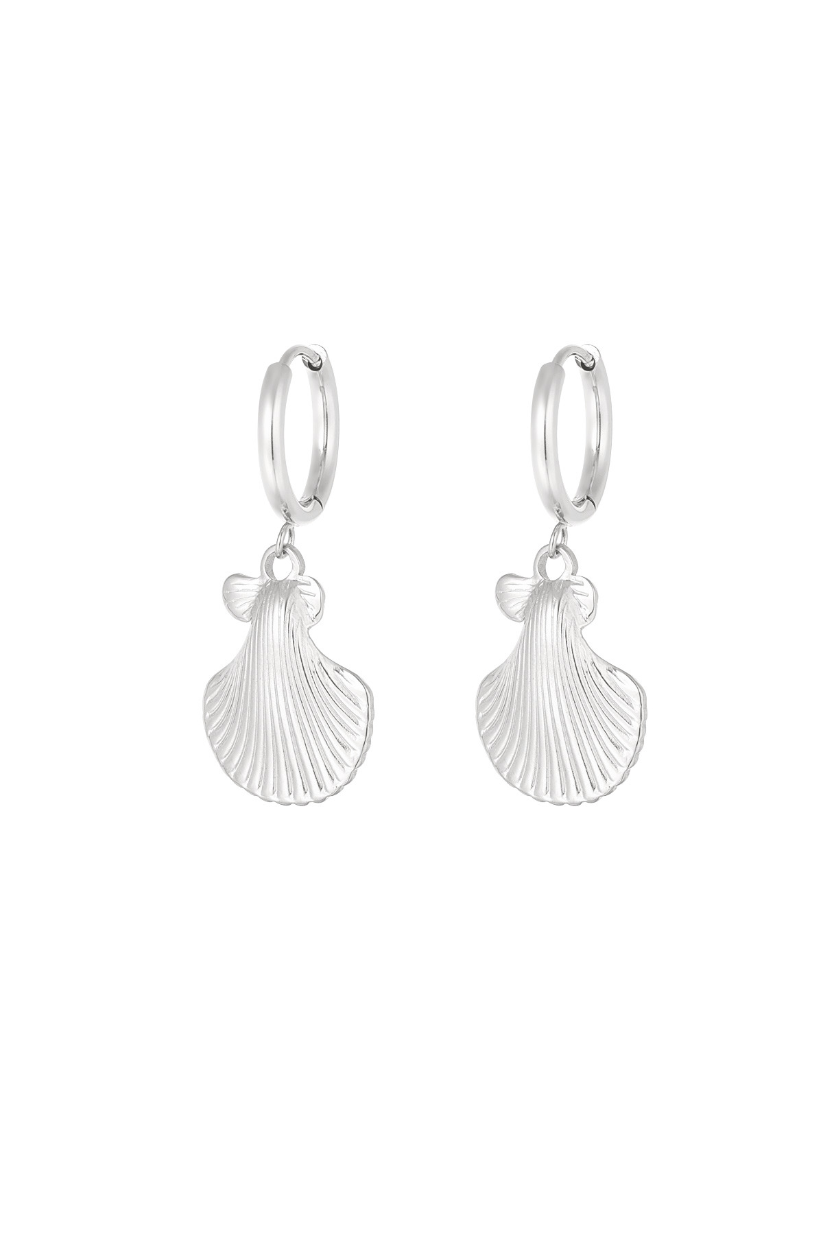 Earrings shell story - silver