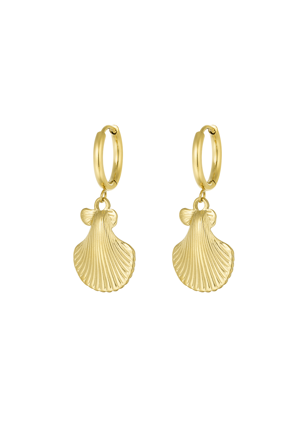 Earrings shell story - gold h5 