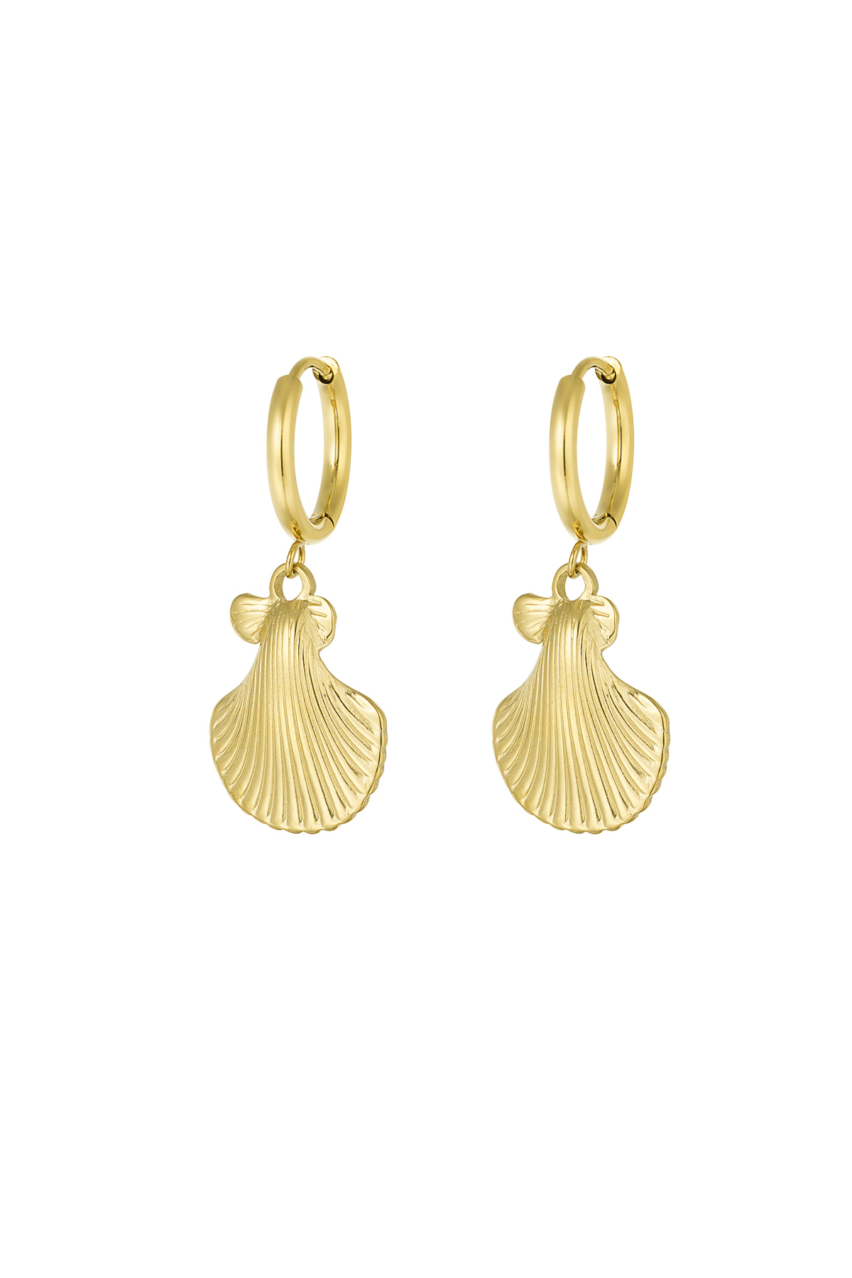 Earrings shell story - Gold color 2