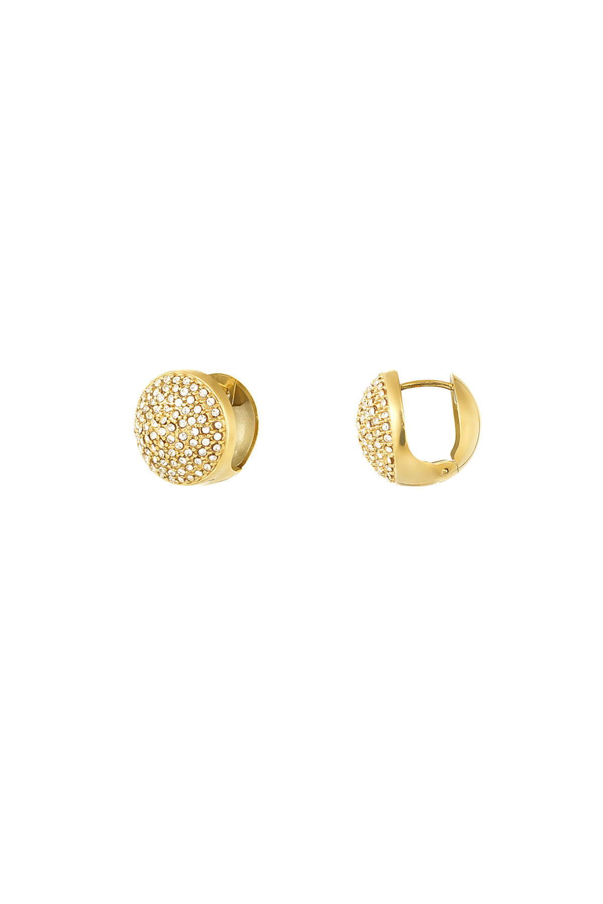 Earrings sparkle everyday - gold h5 