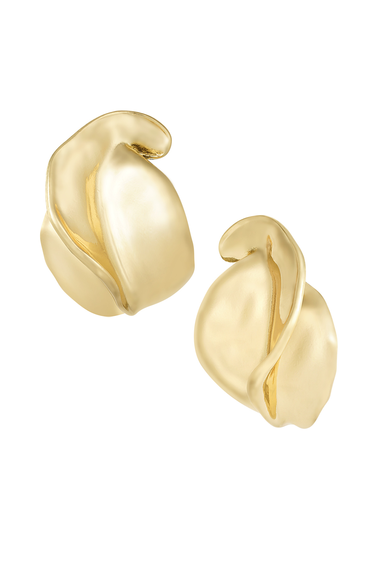 Refined beauty earrings - gold h5 