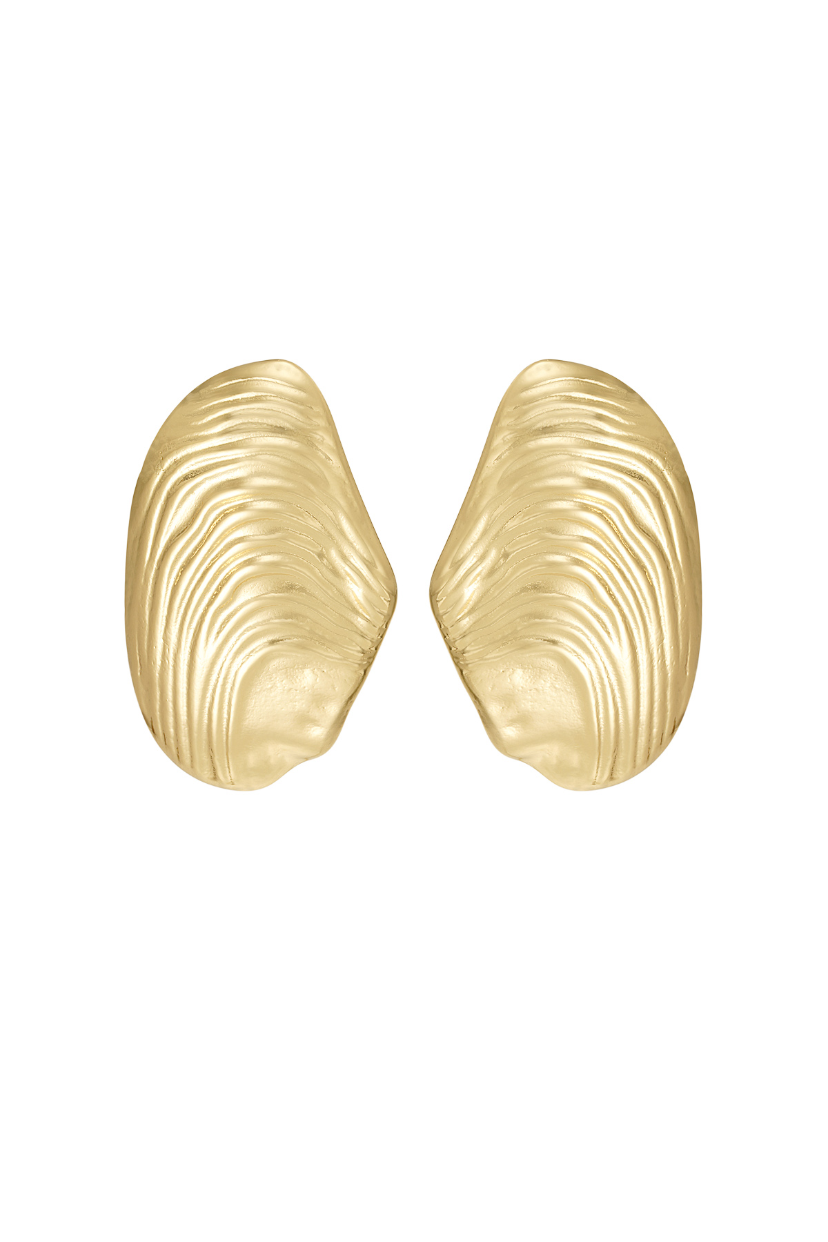 Seabreeze earrings - gold h5 