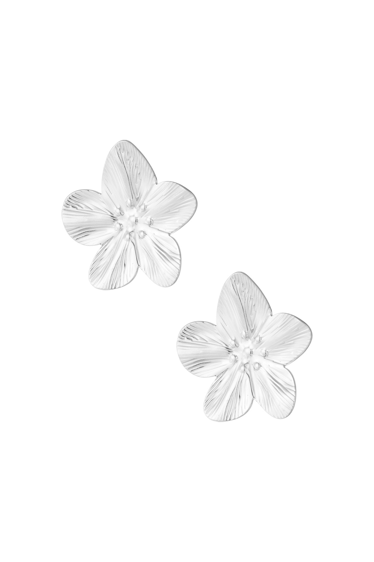 Earrings petal pop - silver h5 