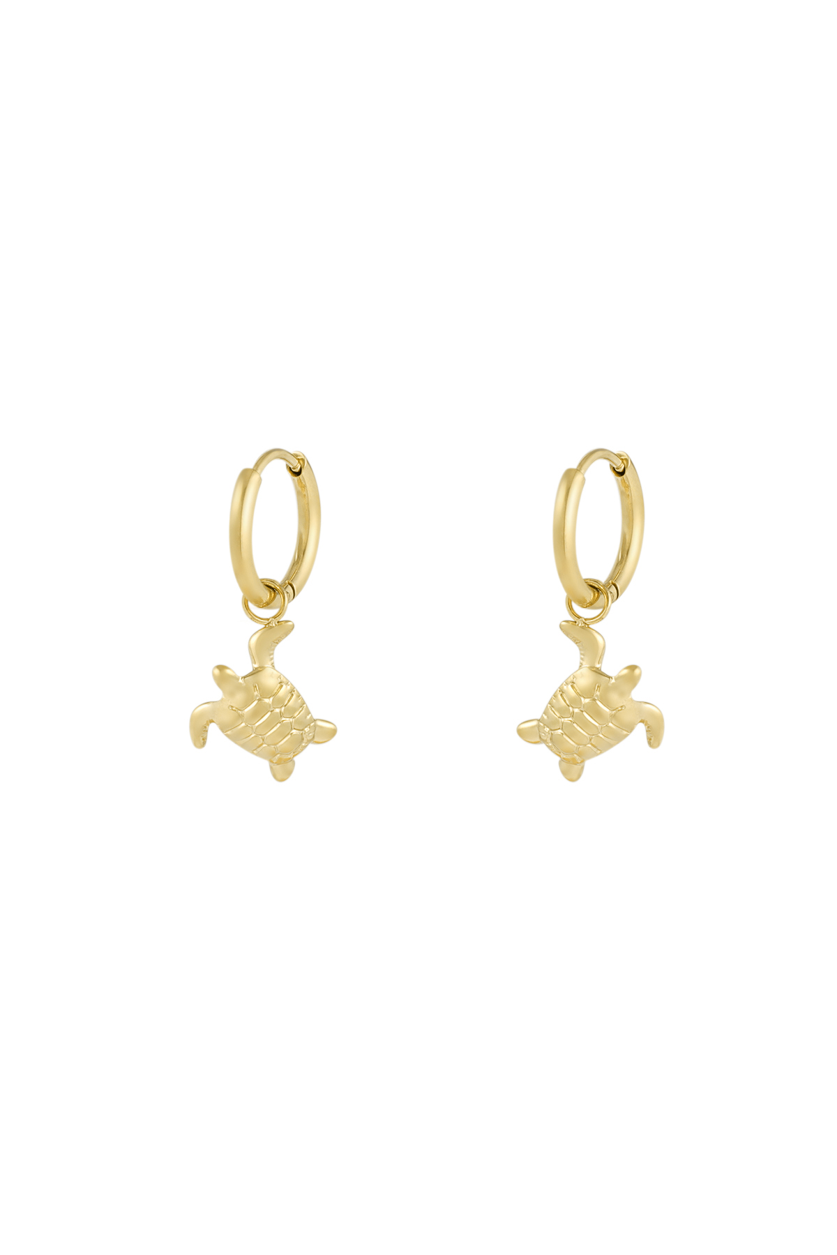 Boucles d'oreilles amoureuses des tortues - or h5 