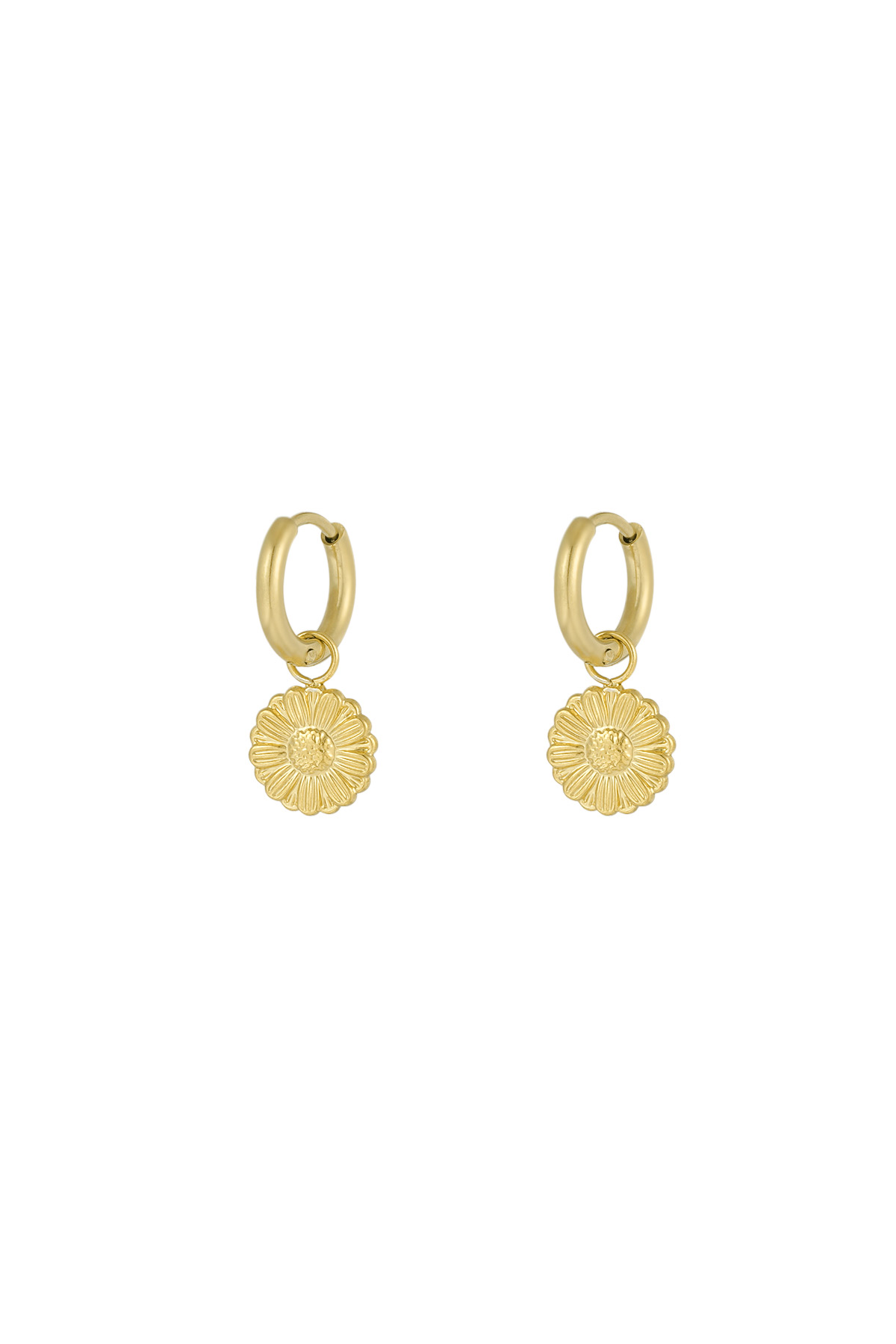 Sweet Daisies earrings - gold h5 