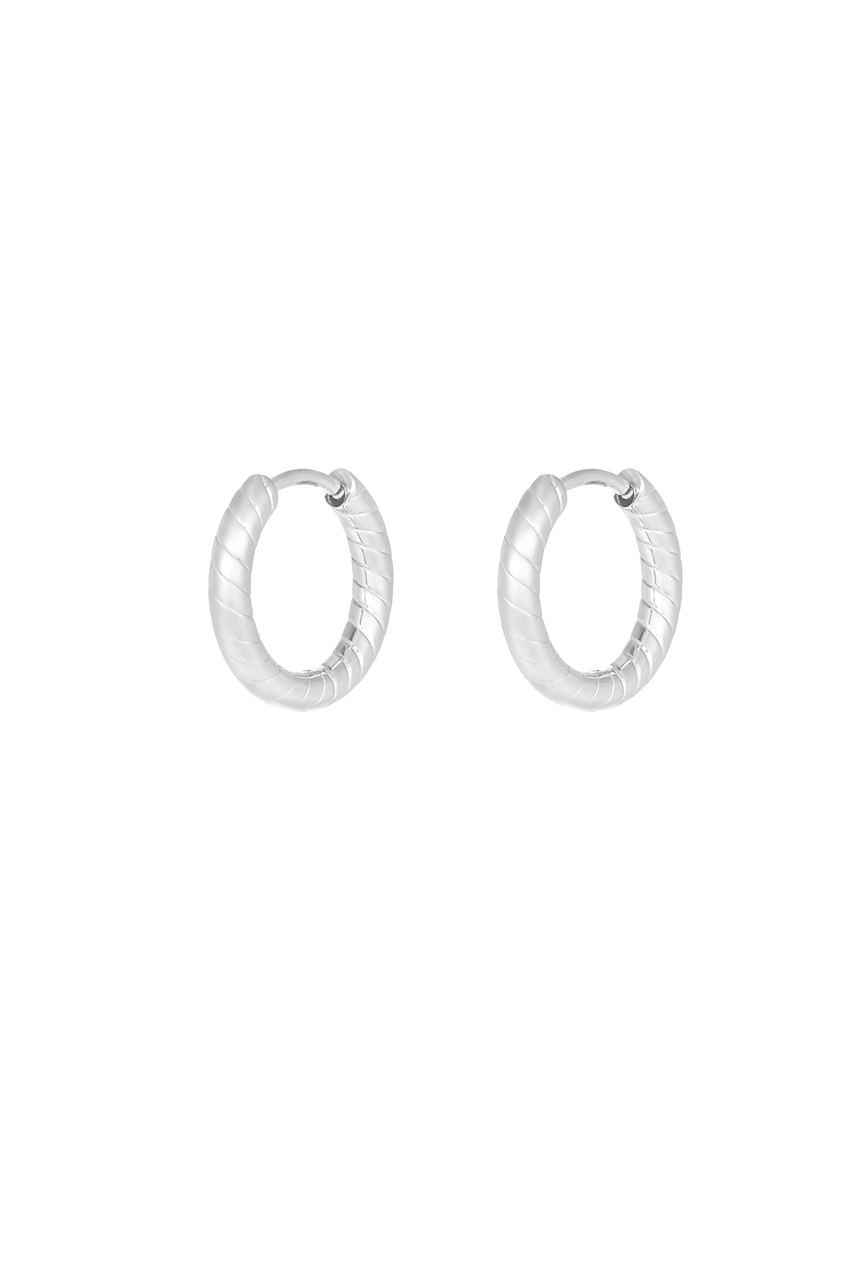 Refined relief earrings - silver h5 