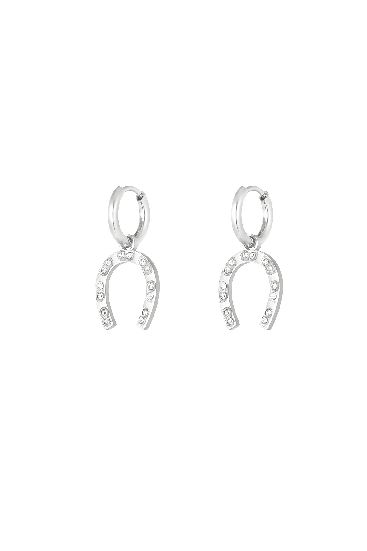 Horseshoe earring - silver h5 