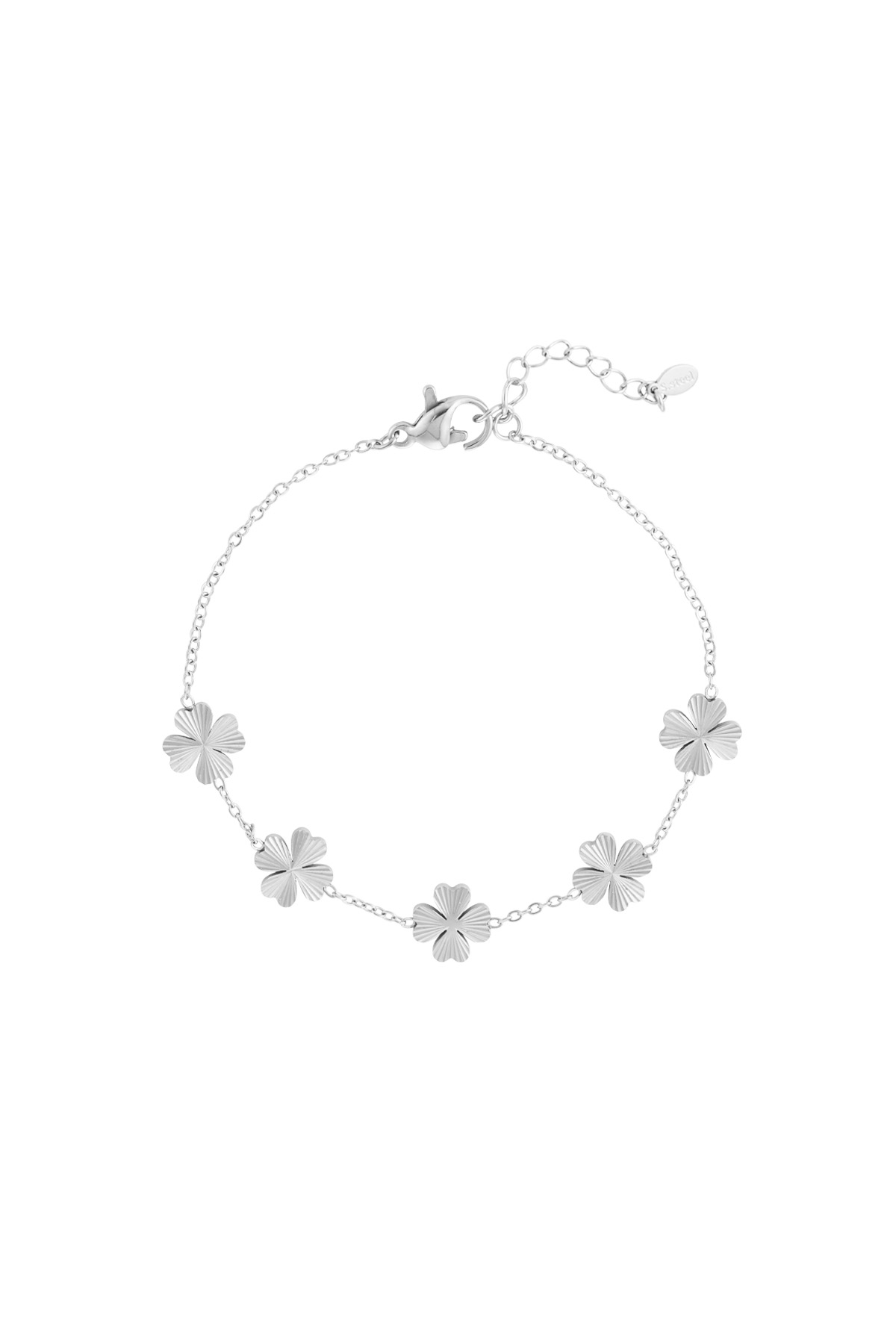 Leafy luck bracelet - silver h5 