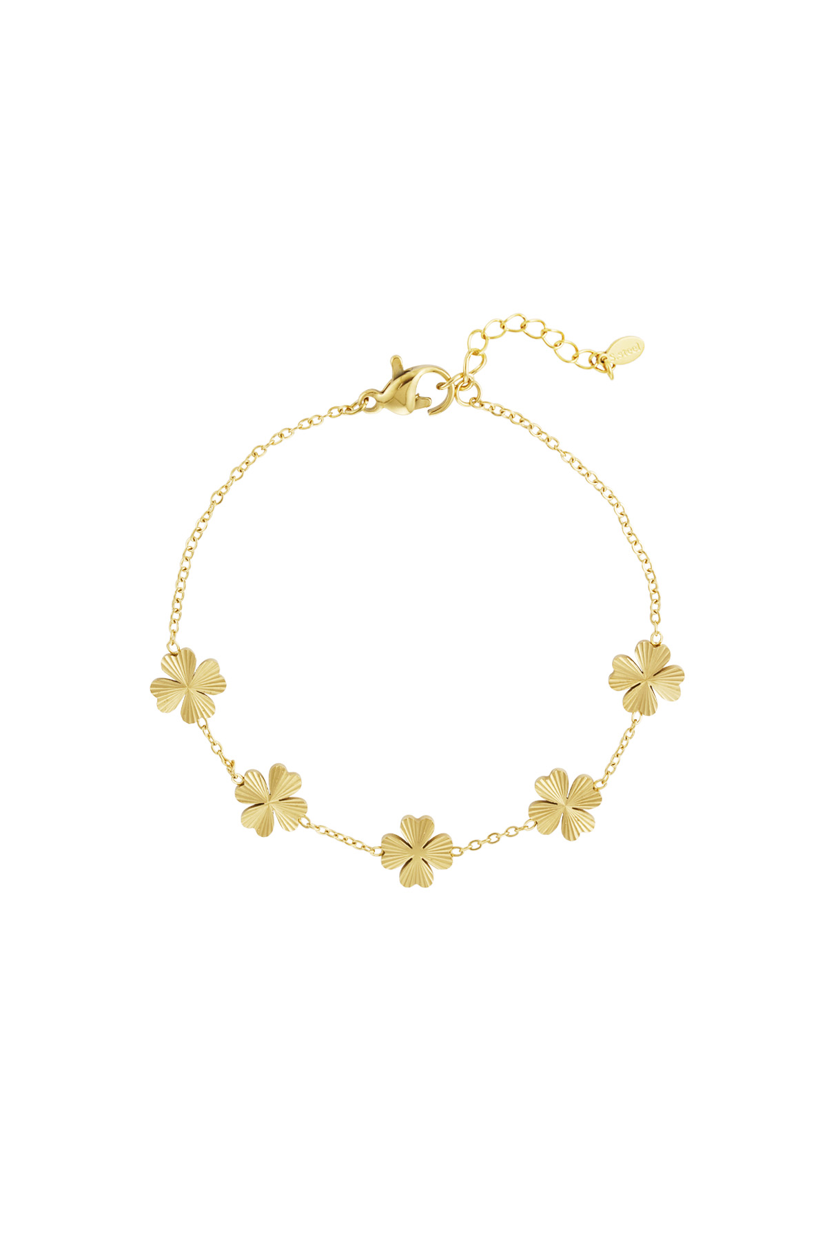 Leafy luck bracelet - gold h5 