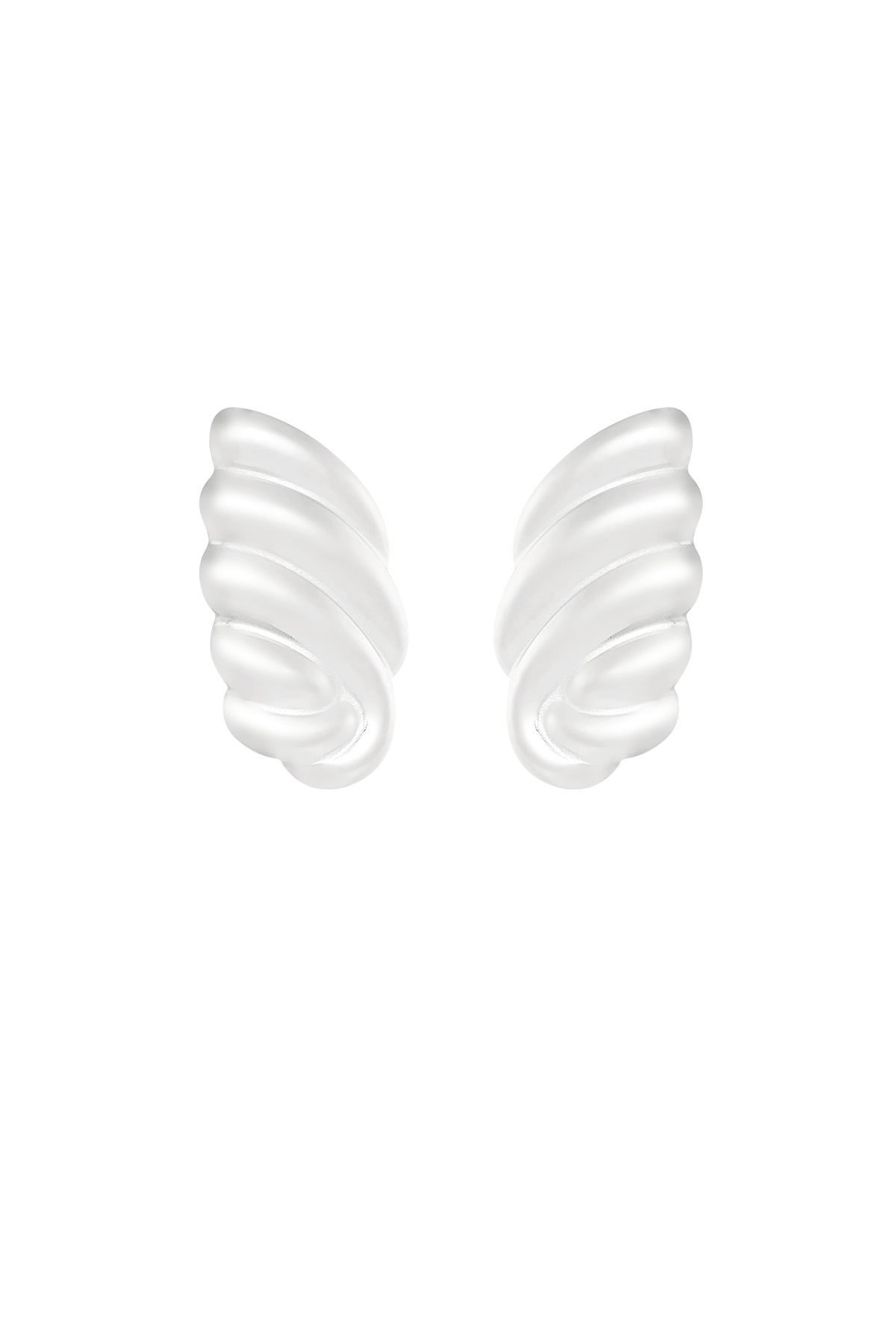 Glam stud earrings - silver h5 