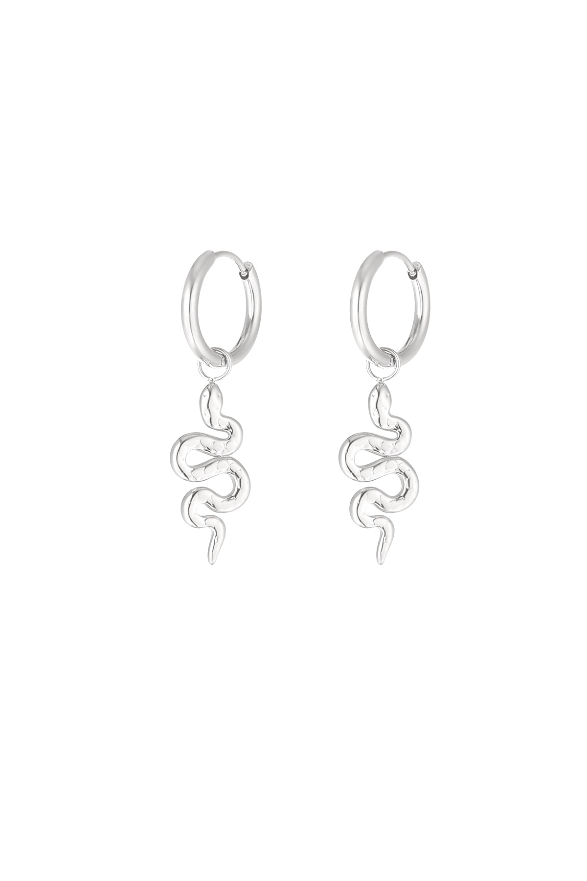 Earrings snake soul - silver 