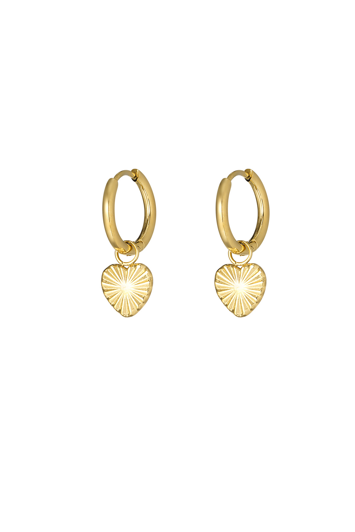 Pure love earrings - gold h5 