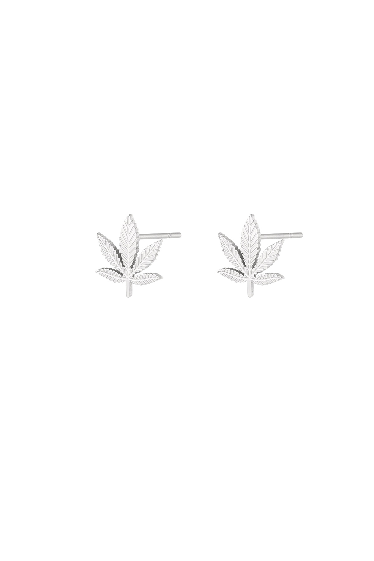 Canna bliss studs - silver h5 