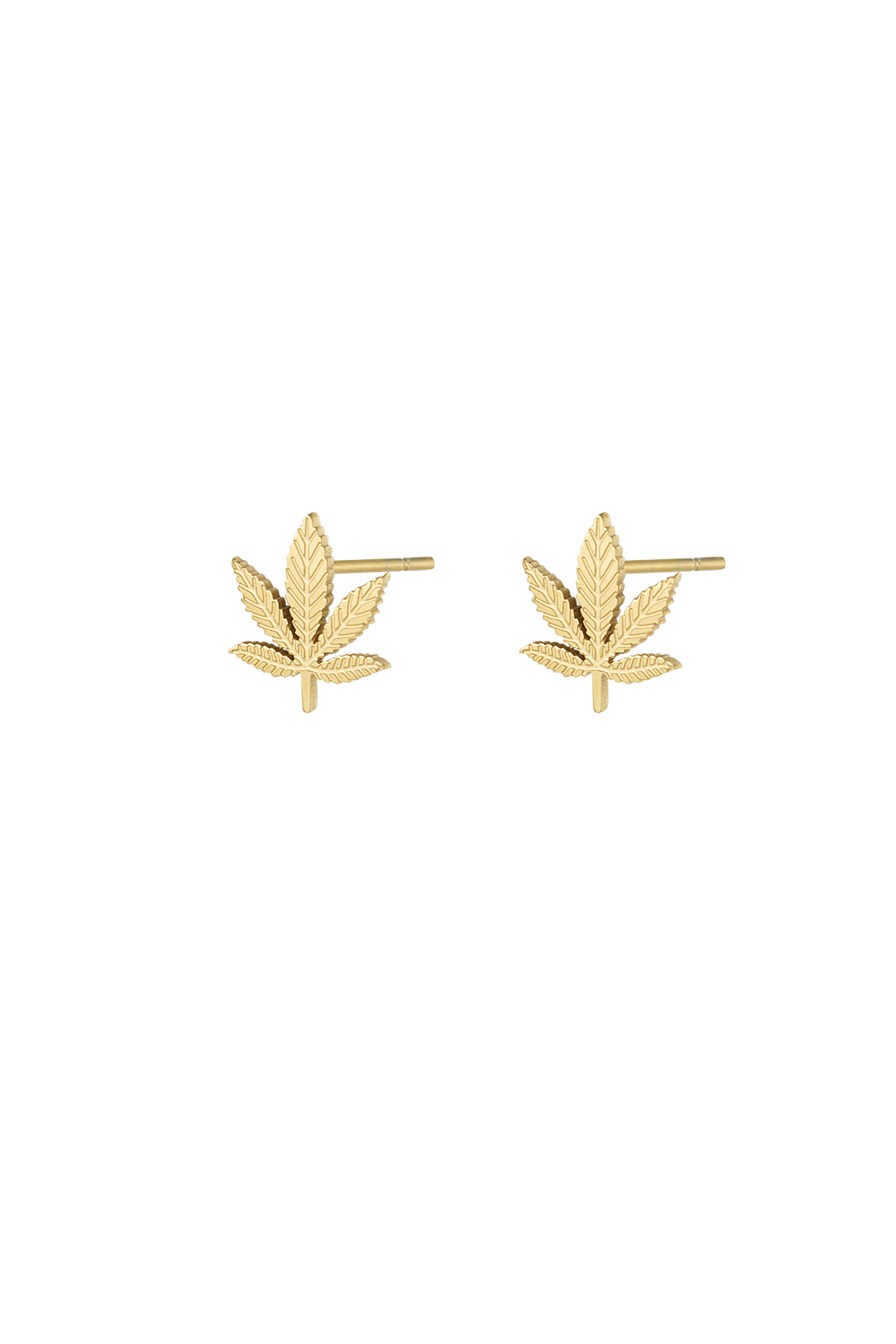 Canna bliss studs - gold h5 