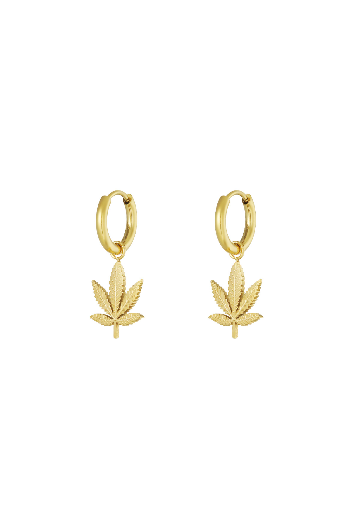 Canna bliss earrings - gold h5 