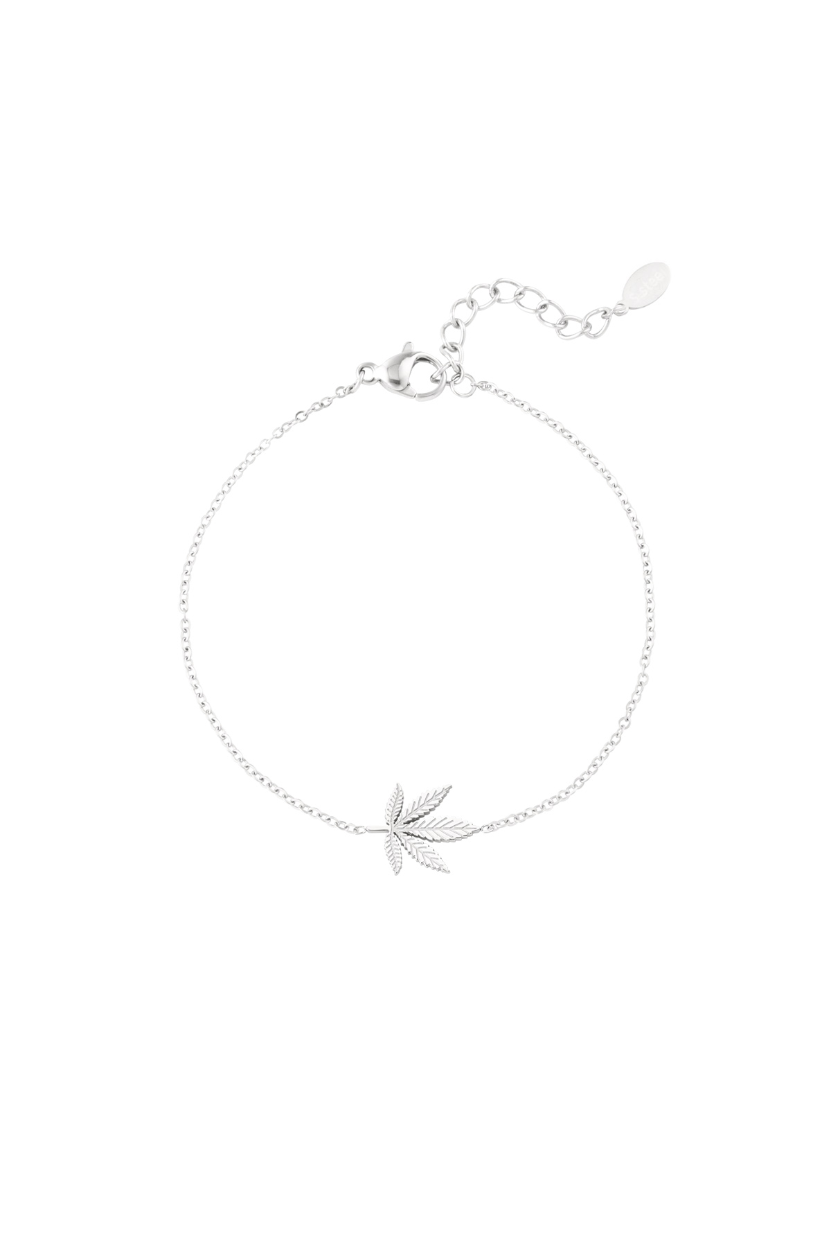 Canna bliss armband - zilver h5 