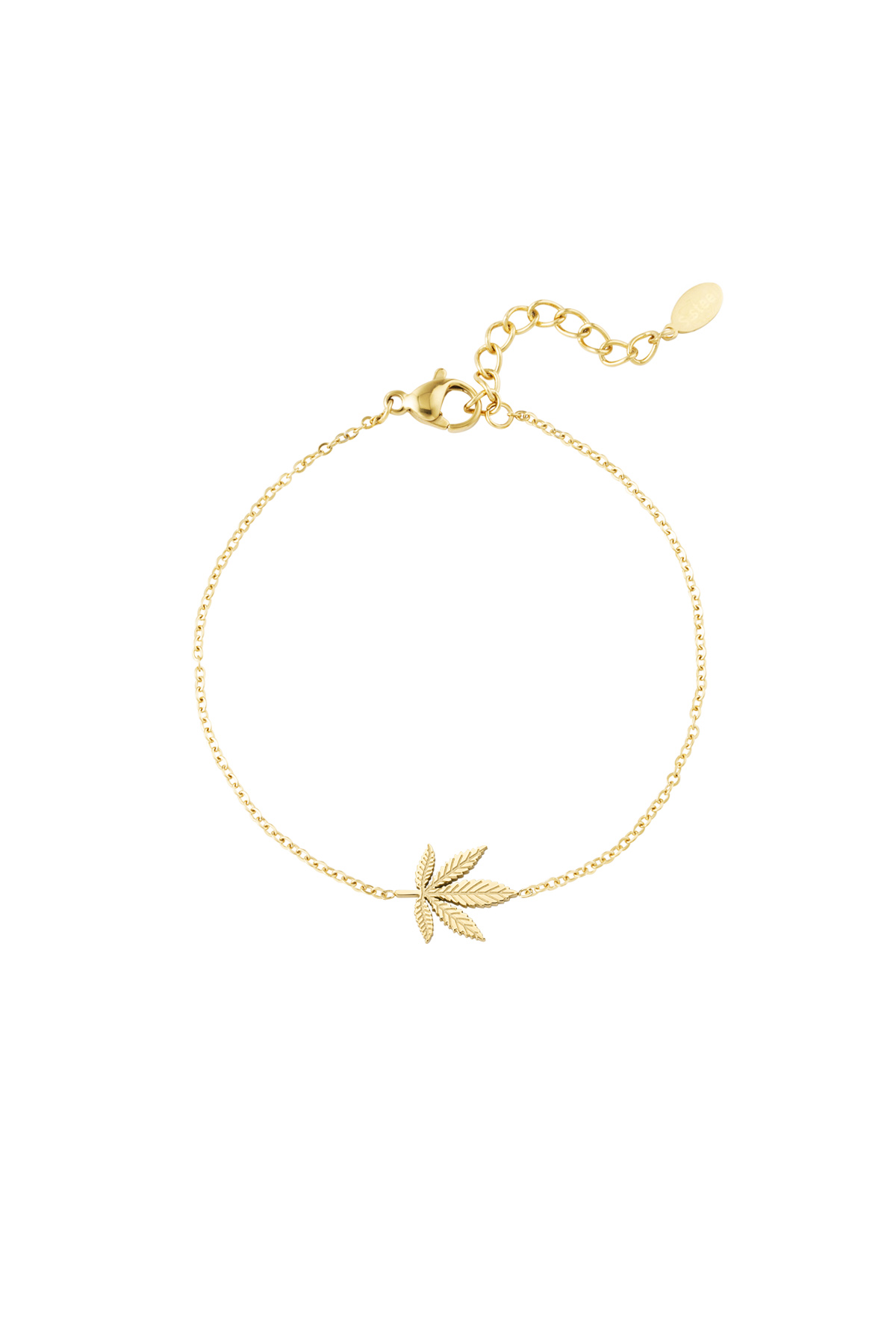 Canna bliss bracelet - gold h5 