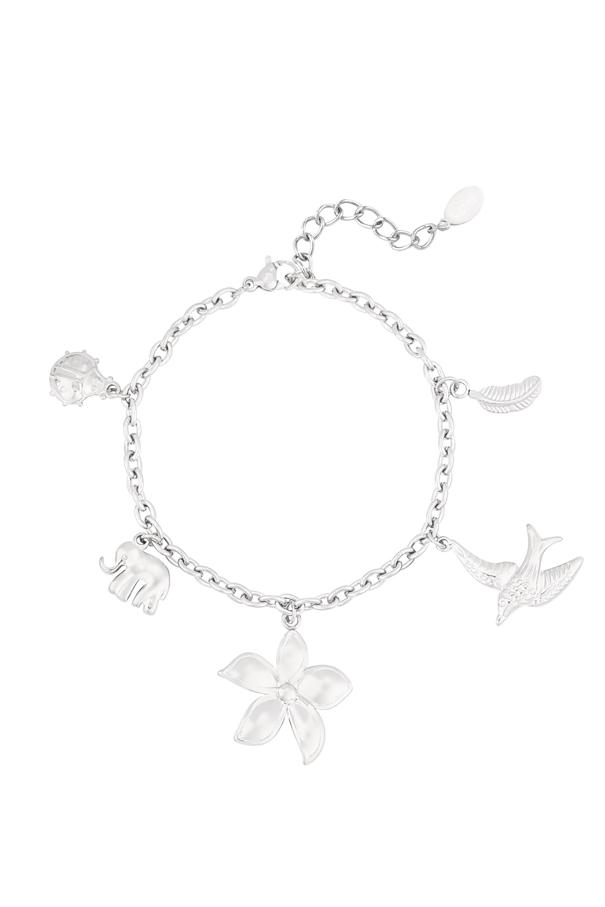 Charm bracelet spirit of nature - Silver color h5 