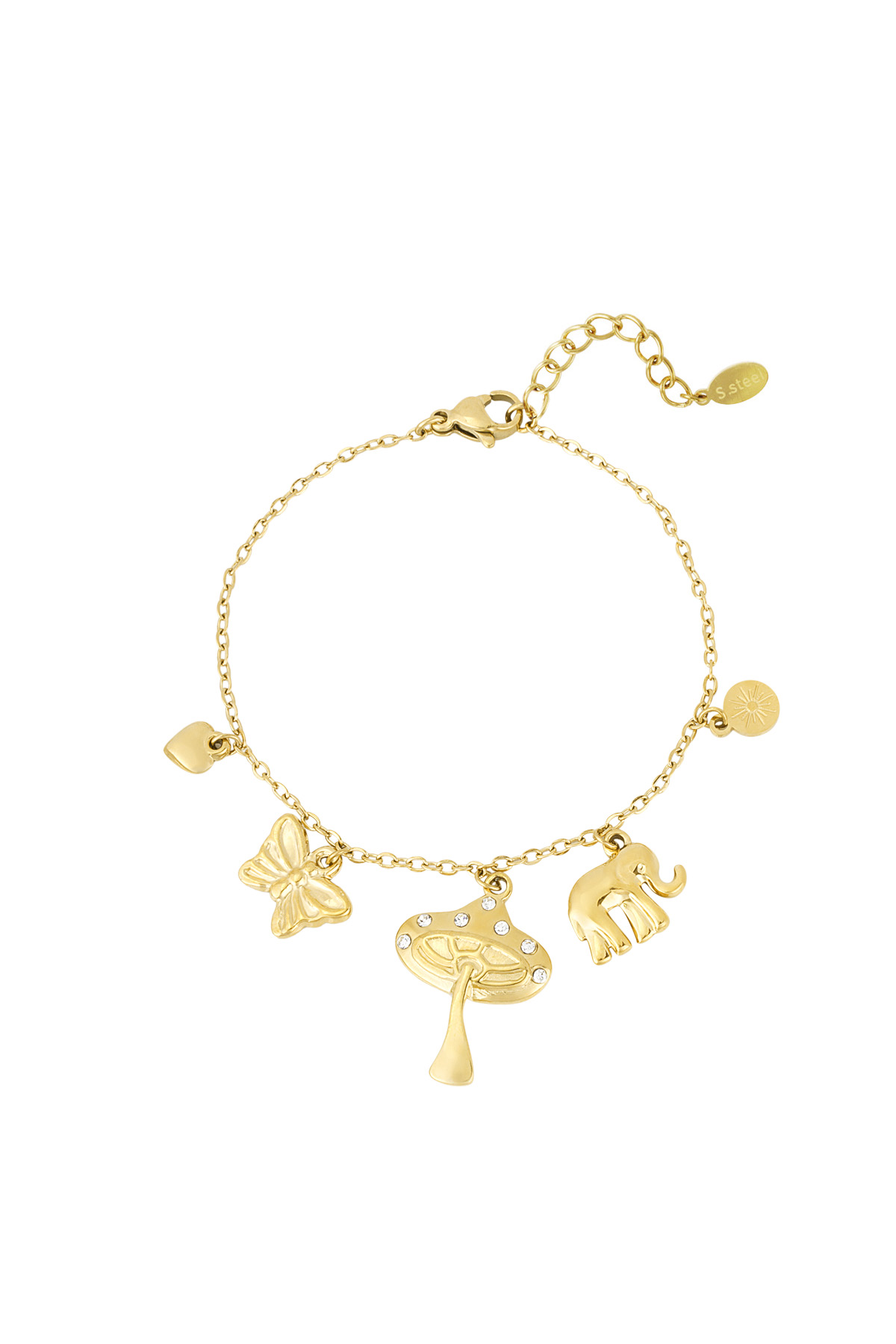 Charm bracelet wild whispers - Gold color h5 