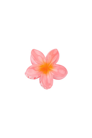 Haarclip Hawai dream - roze h5 