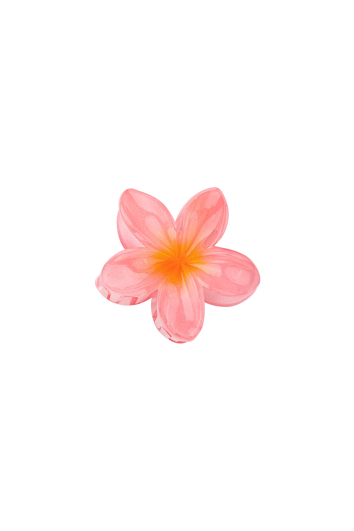 Haarclip Hawai dream - roze 