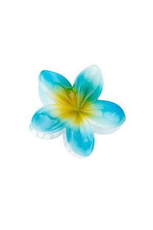 Hair clip Hawaii flower - blue h5 