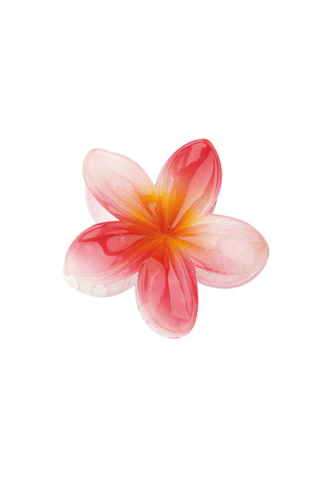 Haarclip Hawaii bloem - rood h5 