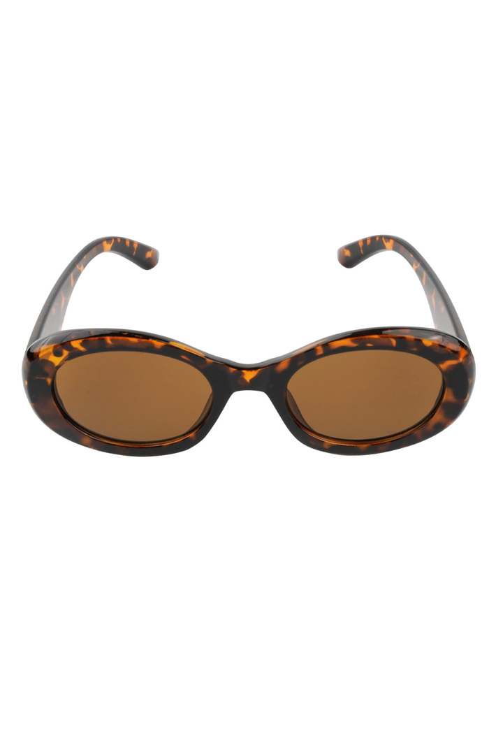 Gafas de sol con un aspecto elegante: marrón Imagen2