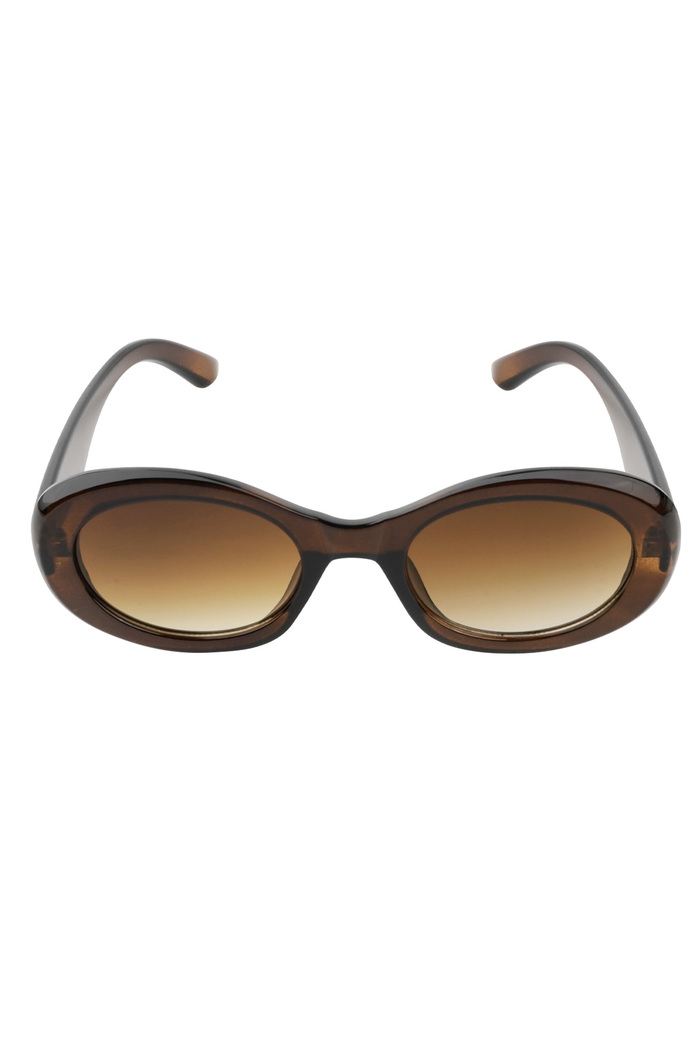 Sunglasses classy look a like - dark brown Picture2