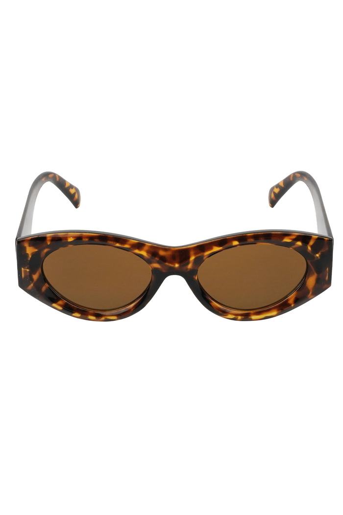 Retro look a like sunglasses - brown Picture5