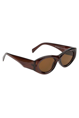 Gafas de sol con apariencia retro - marrón oscuro h5 