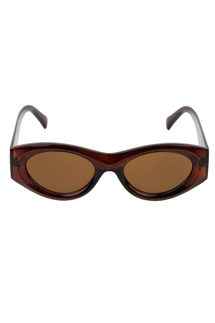 Gafas de sol con apariencia retro - marrón oscuro Imagen5