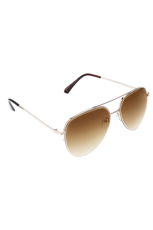 Aviator style sunglasses - brown h5 