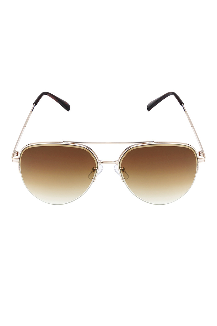 Aviator style sunglasses - brown Picture5