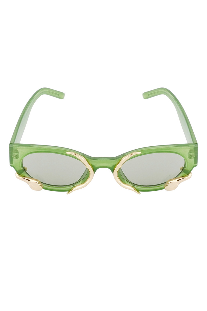 Snake sunglasses - green  Picture5