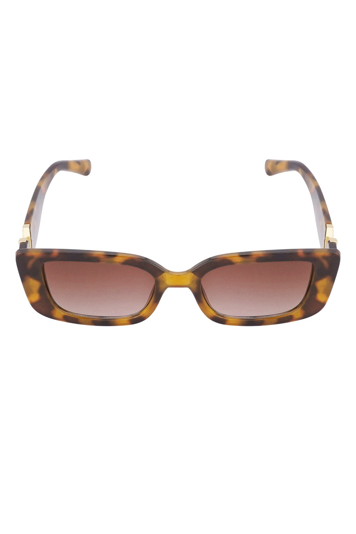 V - kahverengi ile klasik güneş gözlüğü  Resim4