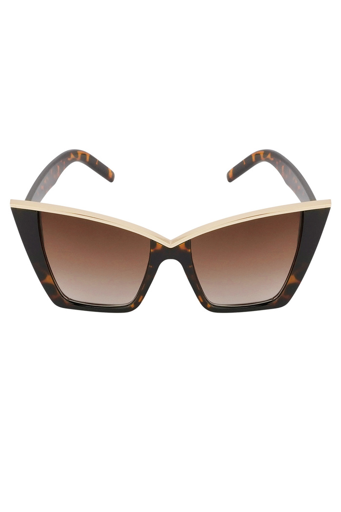 Chic sunglasses - brown  Picture4