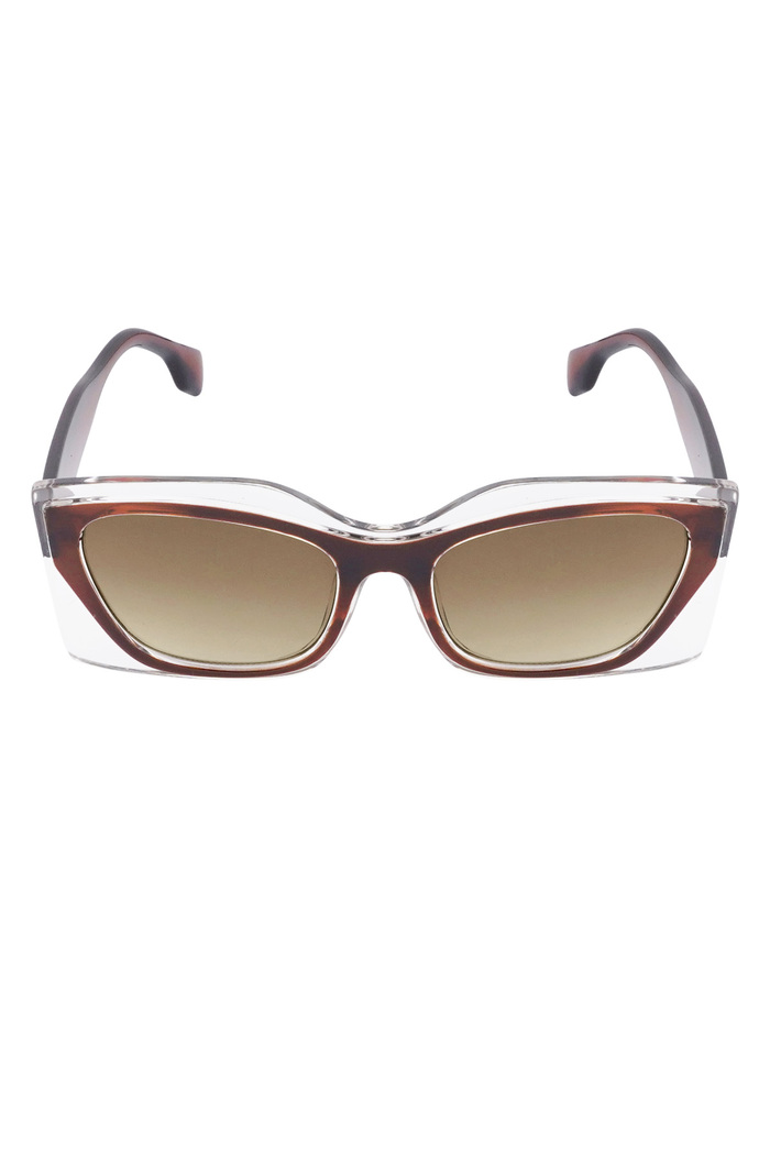 Double frame sunglasses - brown  Picture4