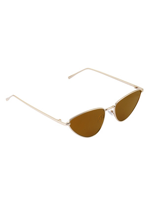 Sunglasses ready to shine - brown h5 