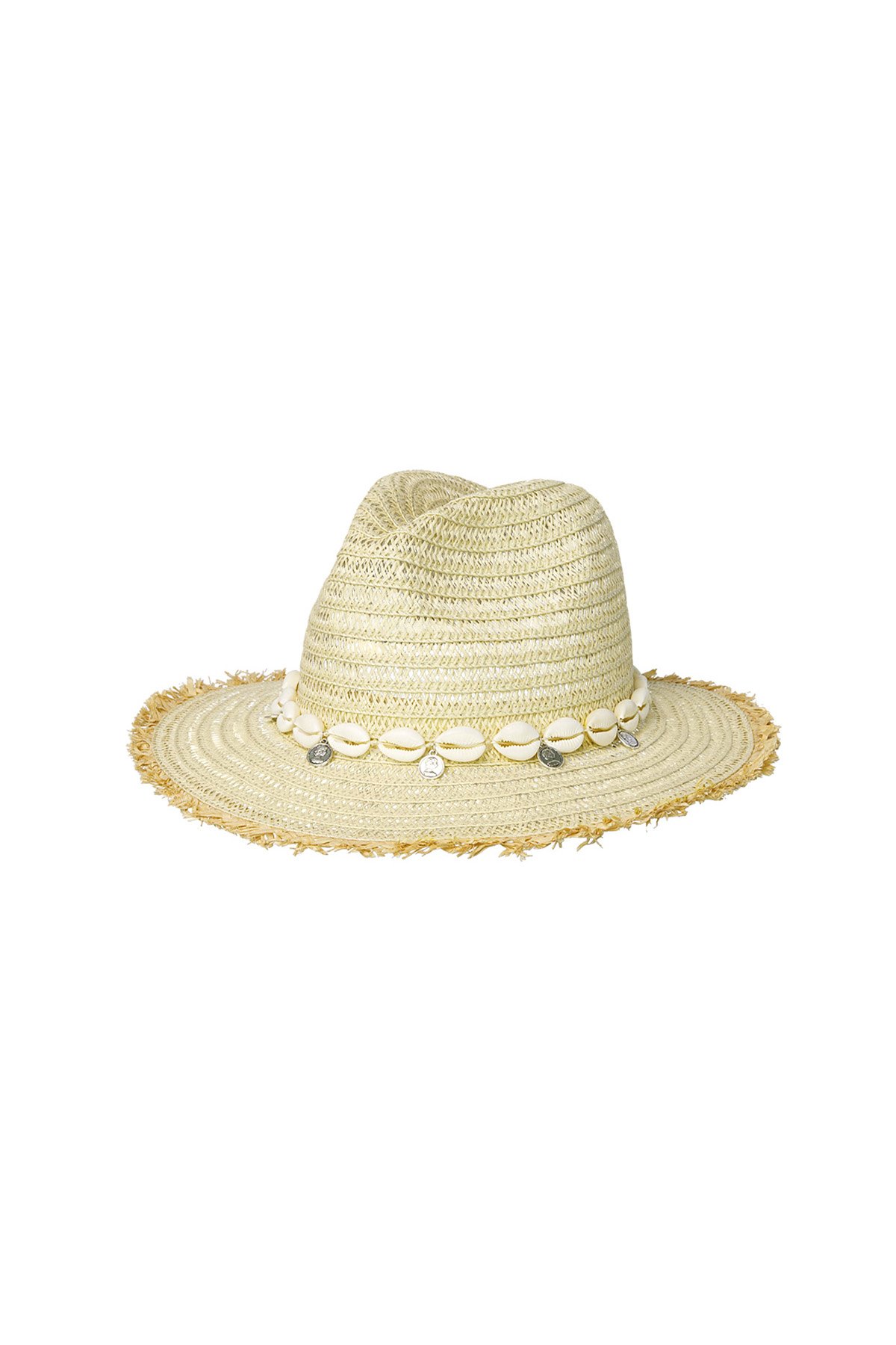 Conchas de sombrero de verano - Papel blanco roto 2