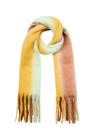 Winter scarf ombré colors Multi Polyester h5 